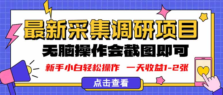 新版采集调研项目，截图上传即可，无脑操作，日收益1-2张-青虫资源网