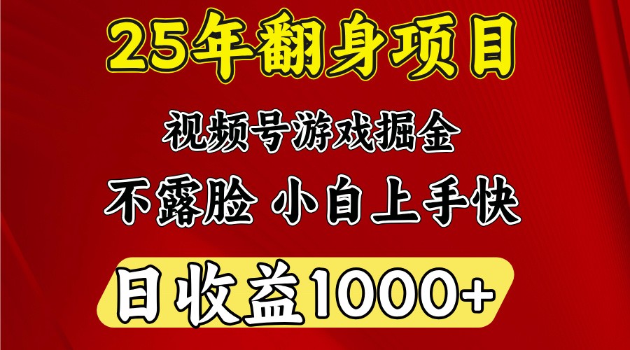 一天收益1000+ 25年开年落地好项目-快名资源网