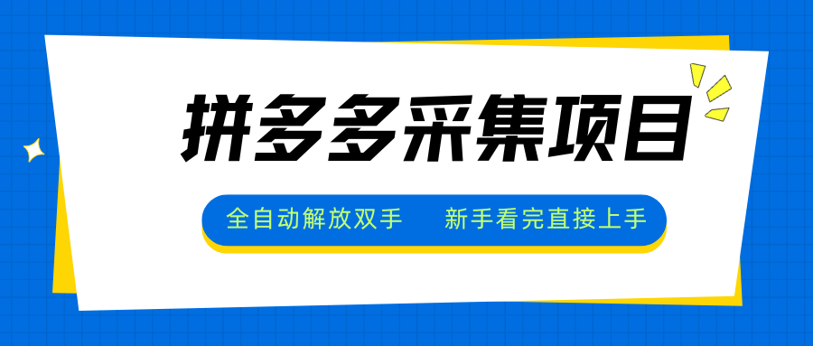 拼多多采集项目，全自动解放双手，单号日入30+-快名资源网