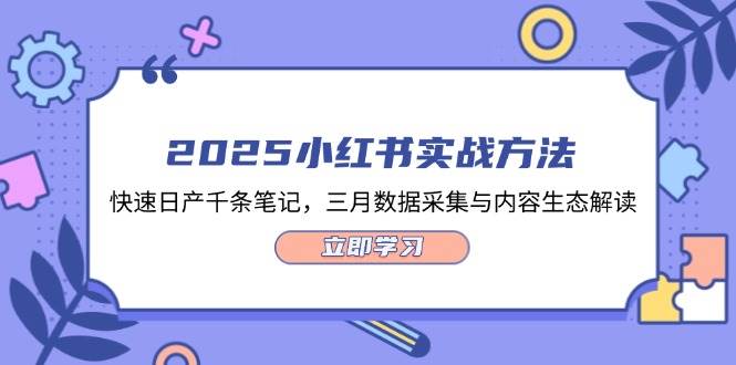2025小红书实战方法，快速日产千条笔记，三月数据采集与内容生态解读-快名资源网
