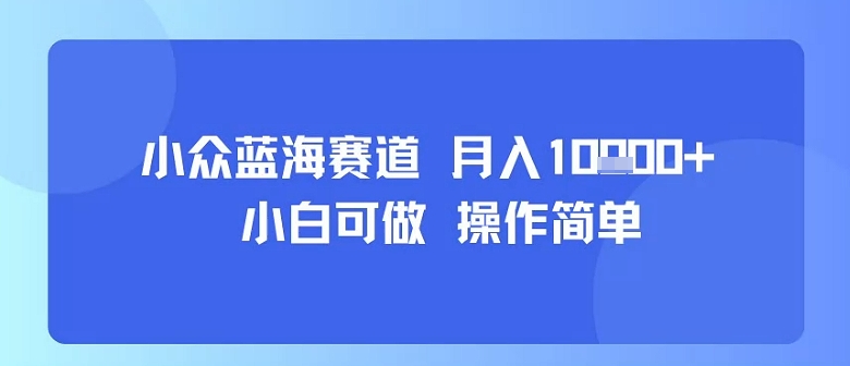 小众蓝海赛道，小白可做，操作简单，每天30分钟，月入1W+-快名资源网