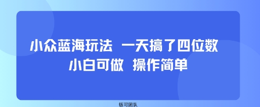 小众蓝海玩法 一天搞了四位数 小白可做 操作简单-快名资源网