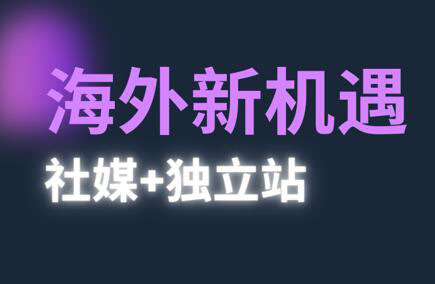 棕榈·2025出海新机遇(社媒+独立站)-快名资源网