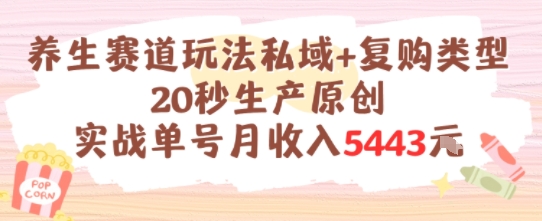 养生赛道玩法私域+复购类型，20秒生产原创实战单号月收入5k+-快名资源网