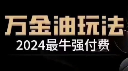 2024最牛强付费，万金油强付费玩法，干货满满，全程实操起飞(更新25年04月)-青虫资源网