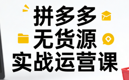 子枫老师·拼多多无货源实战运营课(更新12月)-快名资源网