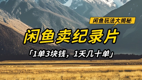 闲鱼卖纪录片1单3块钱，1天几十单，项目稳定有潜力-快名资源网