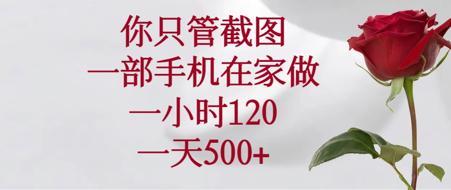 你只管截图，一部手机在家做，一小时120，一天500+-快名资源网