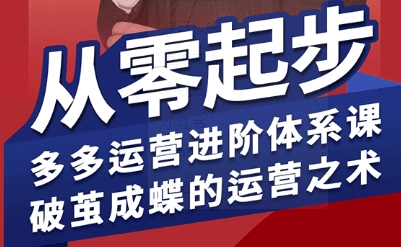 拼多多运营进阶系统课，从零起步，多多运营进阶体系课，破茧成蝶的运营之术-快名资源网