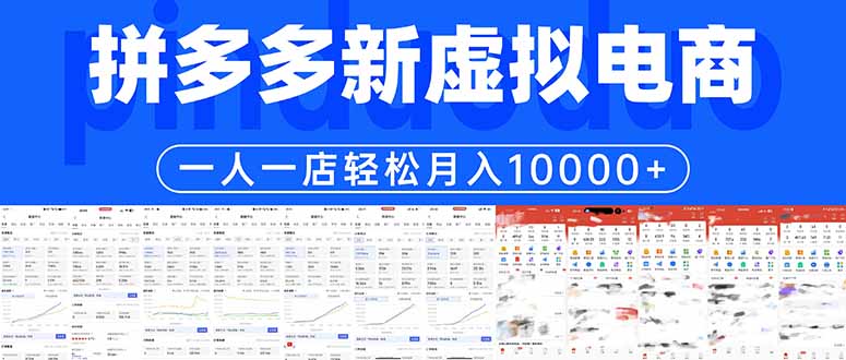 拼多多虚拟电商一人一店轻松月入10000+-快名资源网