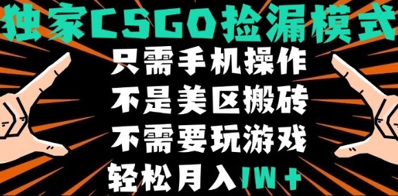 CSGO自动捡漏项目，最新独家玩法，不是美区搬砖，不需要了解和玩游戏，新手小白轻松月入1W+【揭秘】-快名资源网