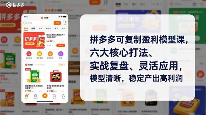 拼多多可复制盈利模型课，六大核心打法、实战复盘、灵活应用，模型清晰，稳定产出高利润-快名资源网