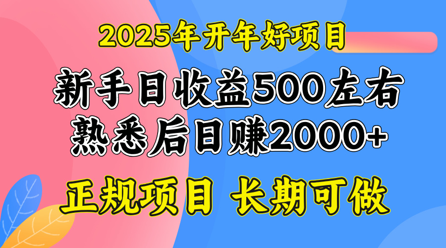 2025开年好项目，单号日收益2000左右-快名资源网