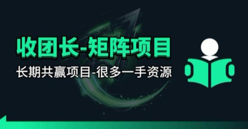 【团长合作】视频矩阵项目_招发手矩阵+剪辑师，共赢项目【揭秘】-快名资源网