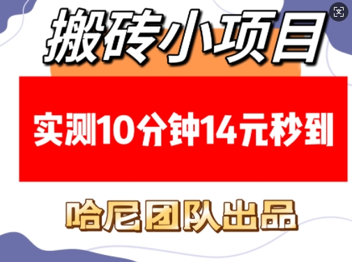 搬砖小项目，实测10分钟14元秒到，每天稳定几张(赠送必看稳定)-快名资源网