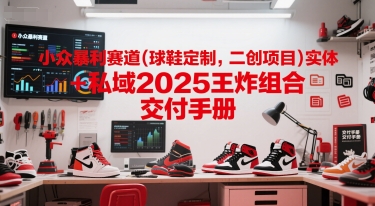 小众暴利赛道(球鞋定制，二创项目)实体+私域2025王炸组合  交付手册-快名资源网