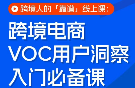 跨境电商VOC用户洞察入门必备课-快名资源网
