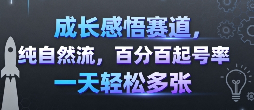 成长感悟赛道，纯自然流，百分百起号率 一天轻松多张-快名资源网