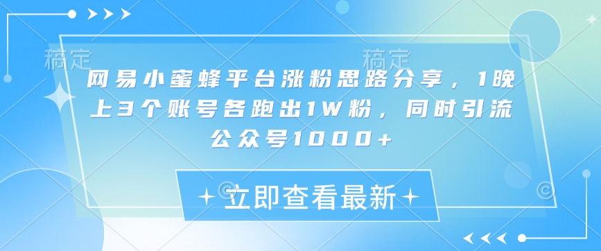 网易小蜜蜂平台涨粉思路分享，1晚上3个账号各跑出1W粉，同时引流公众号1000+-快名资源网