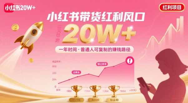 一年时间靠小红书带货项目年入20w+，最不能错的大红利项目-快名资源网