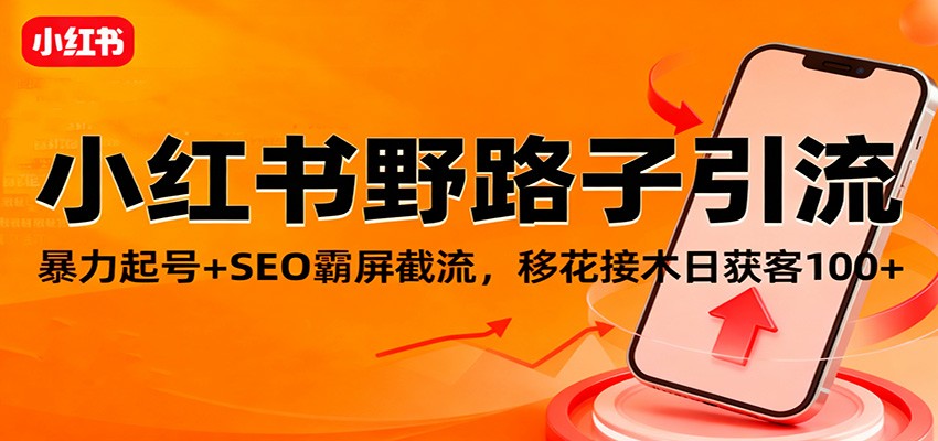 小红书野路子引流，暴力起号+SEO霸屏截流，移花接木日获客100+-快名资源网