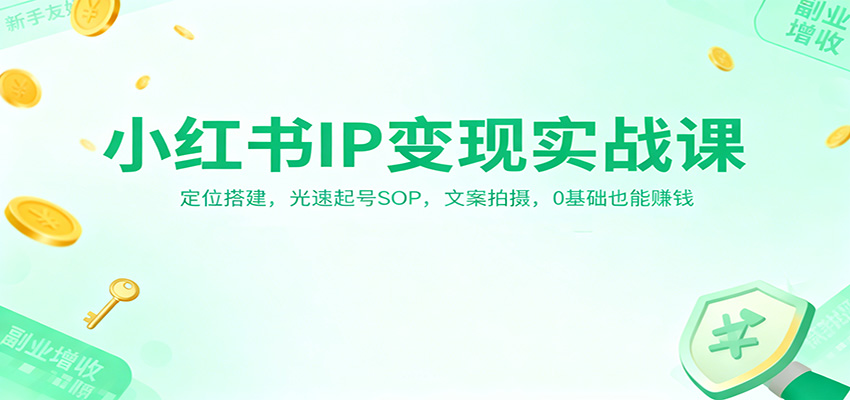 小红书IP变现实战课：定位搭建，光速起号SOP，文案拍摄，0基础也能赚钱-快名资源网