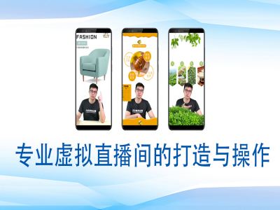 个人虚拟直播间的搭建与操作，专业虚拟直播间的打造与操作-快名资源网