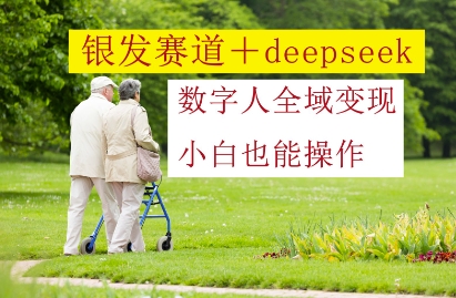 银发赛道+deepseek数字人全域变现，小白也能操作-快名资源网