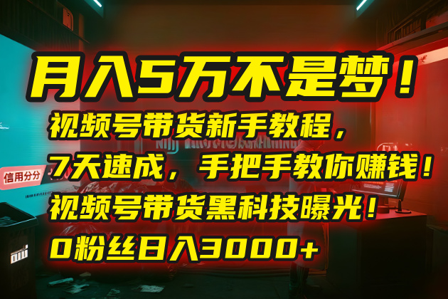 月入5万不是梦！视频号带货新手教程，7天速成，手把手教你赚钱！视频号...-快名资源网