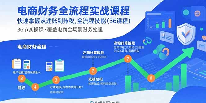 电商财务全流程实战课程：快速掌握从建账到报税的全流程技能(36节课-青虫资源网