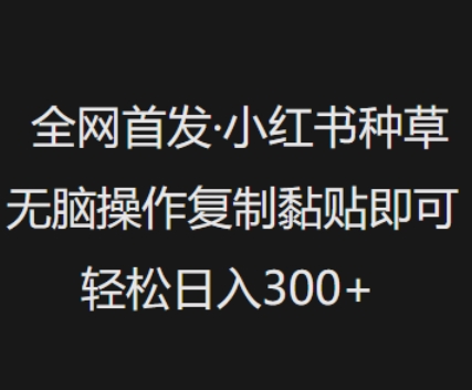 全网首发，小红书种草无脑操作，复制黏贴即可，轻松日入3张-快名资源网