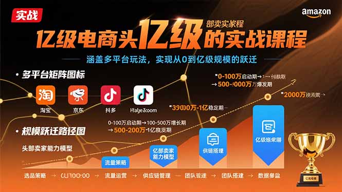 亿级电商头部卖家的实战课程：涵盖多平台玩法，实现从0到亿级规模的跃迁-快名资源网
