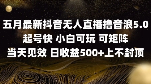 2025五月最新无人直播撸音浪单日产出5张+实操教程【揭秘】-快名资源网