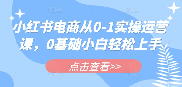 小红书电商从0-1实操运营课，0基础小白轻松上手-快名资源网