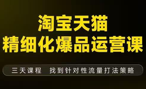 猫课子幽·淘宝天猫精细化爆品运营【音频+字幕+文档】(9月12-14杭州线下课)-青虫资源网