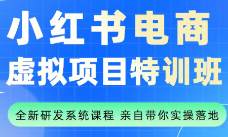 陆明明·小红书虚拟项目特训班(更新9月)-快名资源网
