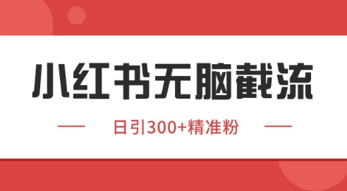 小红书截流同行客源，独家野路子获客玩法 日引200+暴力获客【揭秘】-快名资源网