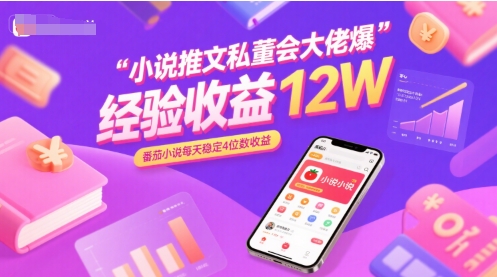 小说推文私董会大佬爆单经验分享收益12W，番茄小说每天稳定4位数收益-快名资源网