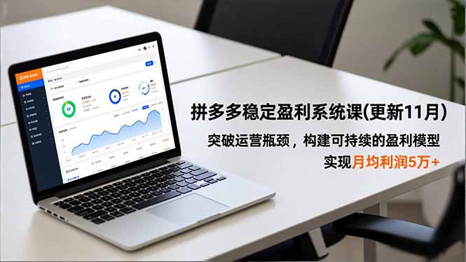 拼多多稳定盈利系统课(更新11月-快名资源网
