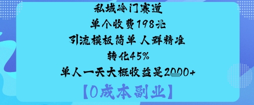 私域冷门赛道:单个收费198米引流模板简单人群精准转化45%单人一天大概收益是1k+-快名资源网