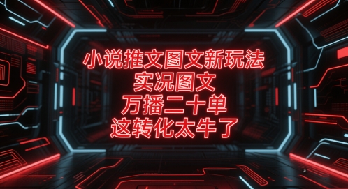 小说推文图文新玩法，实况图文，万播二十单，这转化太牛了！-青虫资源网