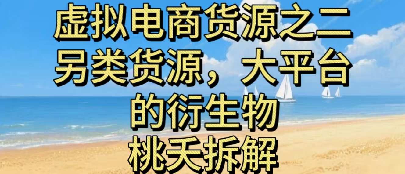虚拟电商之二—另类的货源，大平台的衍生物-快名资源网