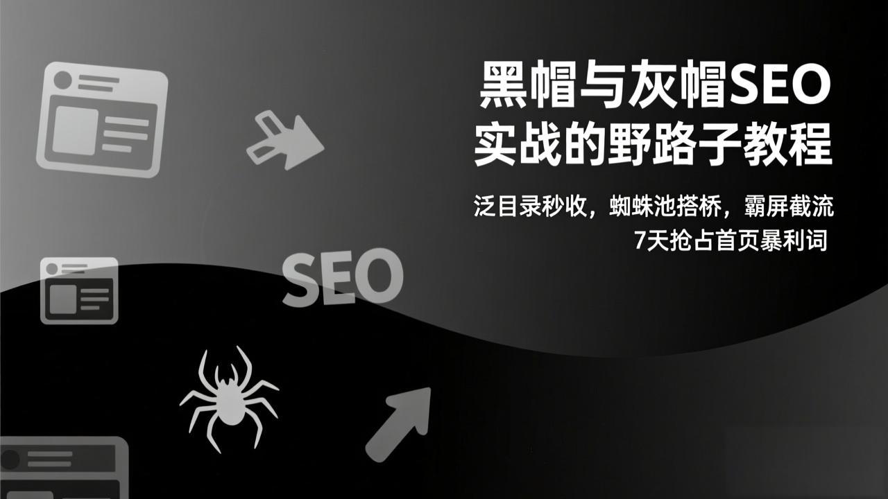 黑帽与灰帽SEO实战的野路子教程：泛目录秒收，蜘蛛池搭桥，霸屏截流，7天抢占首页暴利词-快名资源网