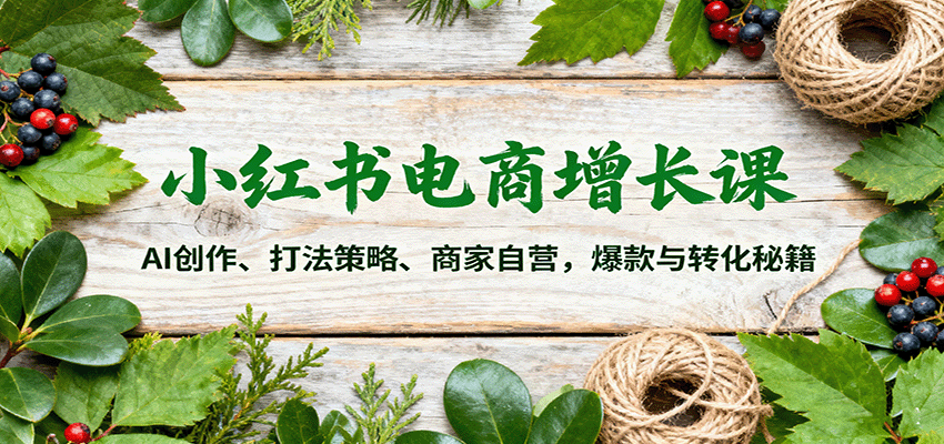 小红书电商增长课：AI创作、打法策略、商家自营，爆款与转化秘籍-快名资源网