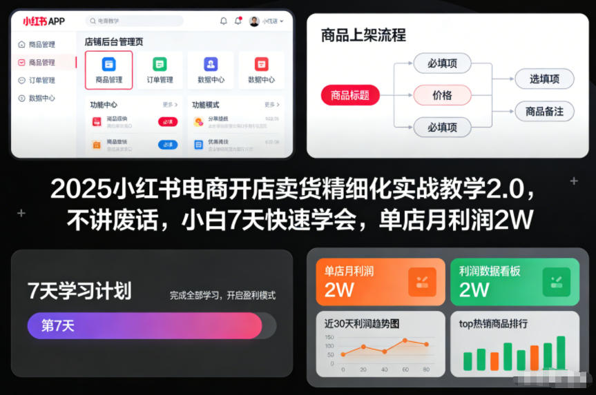 2025小红书电商开店卖货精细化实战教学2.0，不讲废话，小白7天快速学会，单店月利润2W-快名资源网