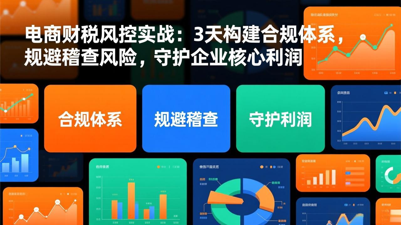 电商财税风控实战：3天构建合规体系，规避稽查风险，守护企业核心利润-快名资源网