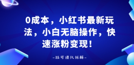 0成本，小红书最新玩法，小白无脑操作，快速涨粉变现-快名资源网