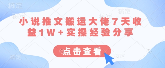 小说推文搬运大佬7天收益1W+实操经验分享-快名资源网
