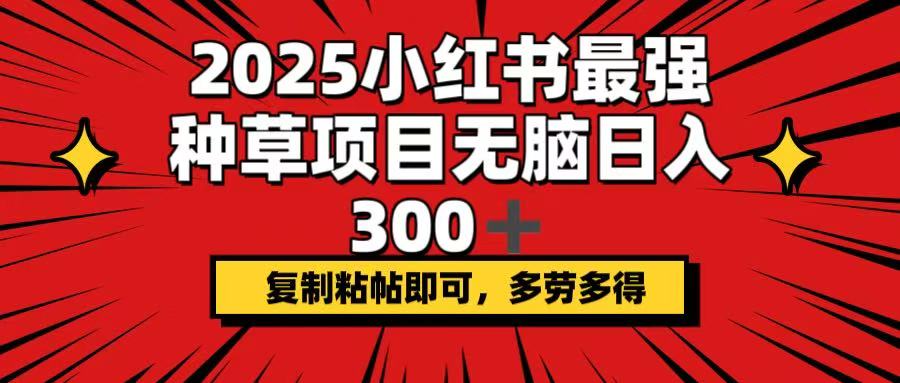 2025小红书最强种草项目，无脑日入300+，复制粘帖即可，多劳多得-快名资源网