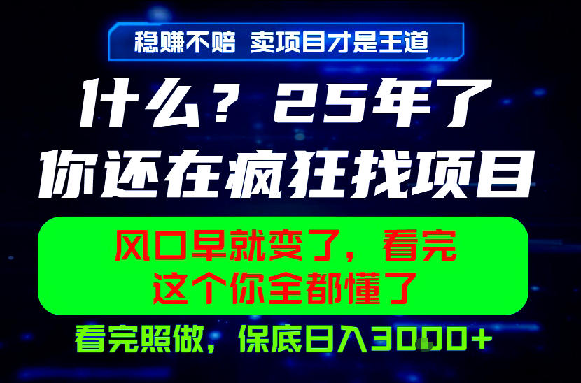 26年，请不要疯狂的找项目做了！卖项目才是真的稳賺不赔，看完照做，保底日入1k+【揭秘】-快名资源网